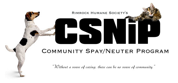 csnip near me csnip near me