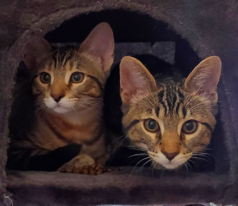 Hi! I'm LENNY & SQUIGGY!