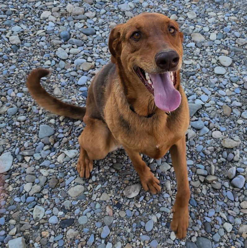 Hi! I'm BREE!