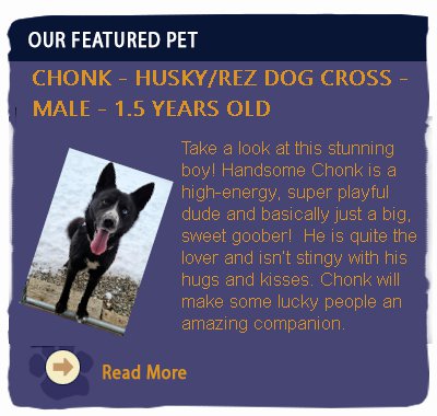 Featured Animal