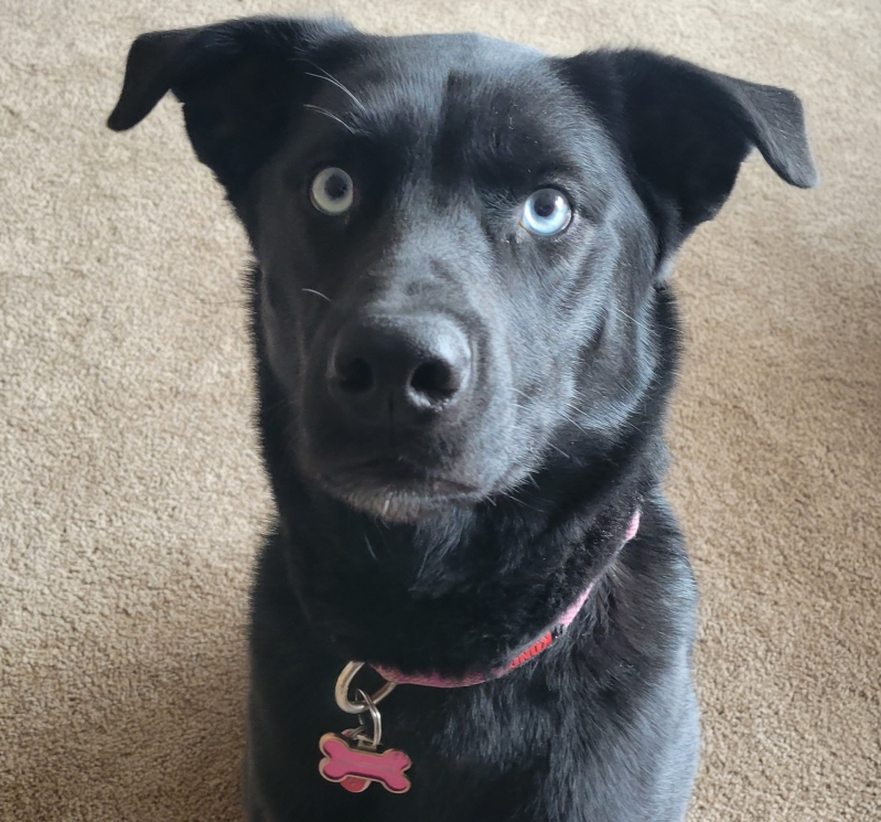 Hi! I'm ZOE!